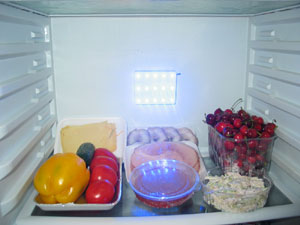 A device to extend shelf time of food products "AVERS Freshguard"