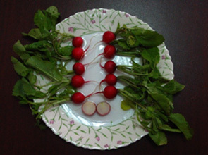Рис. 7